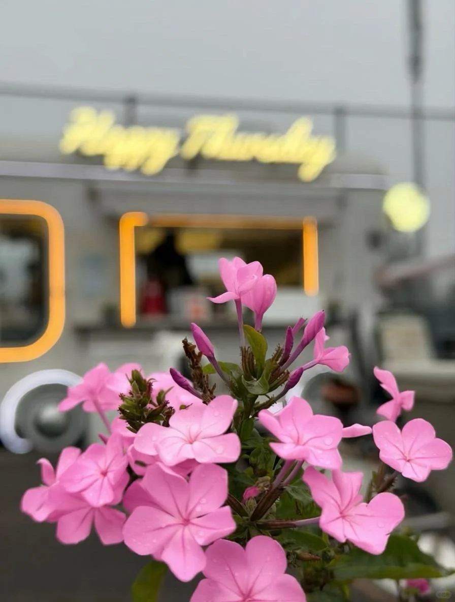 当你为“无用之事”花时间