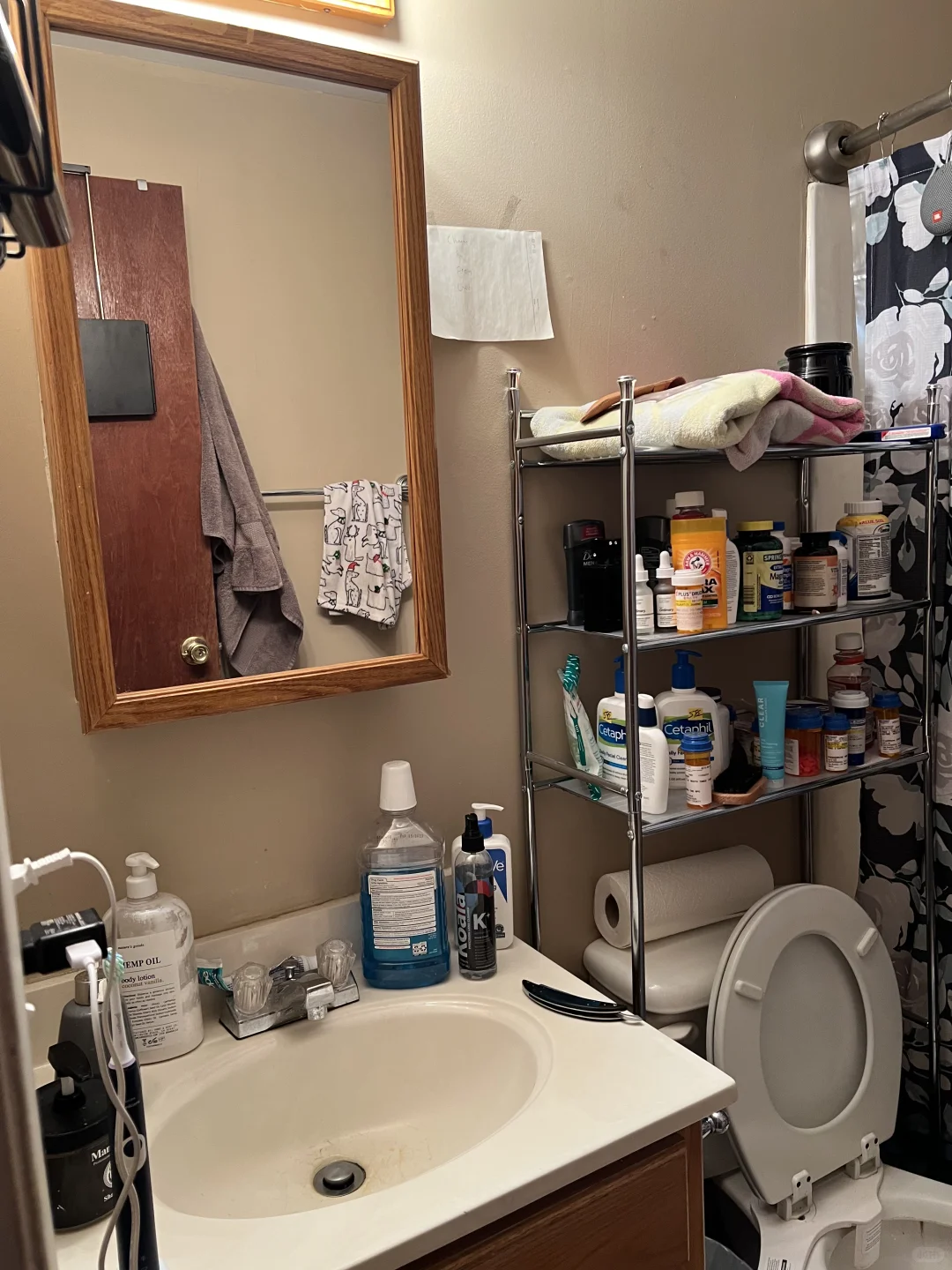 长岛出租-Deer park独门独户studio$1100