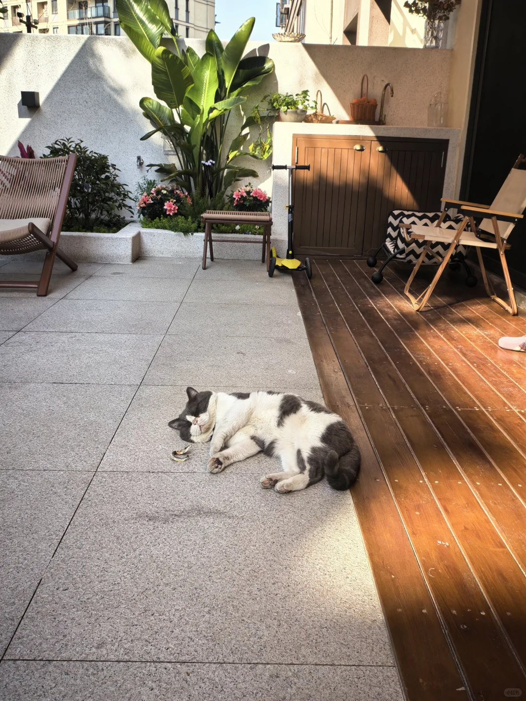 这就是放弃大平层选别墅的原因！