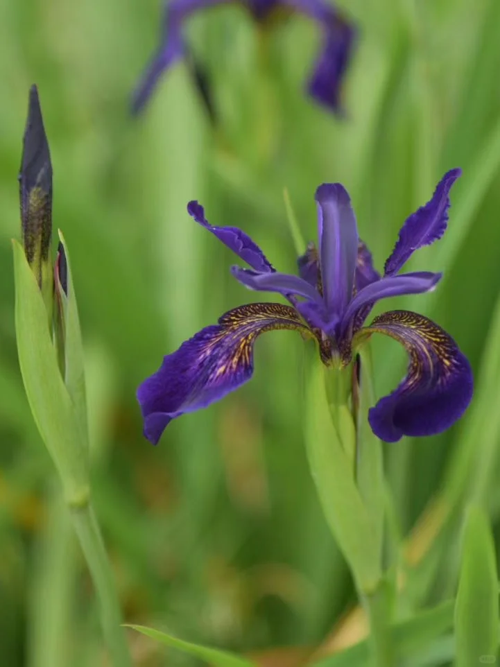 勇敢做自媒体后，我的人生开挂了