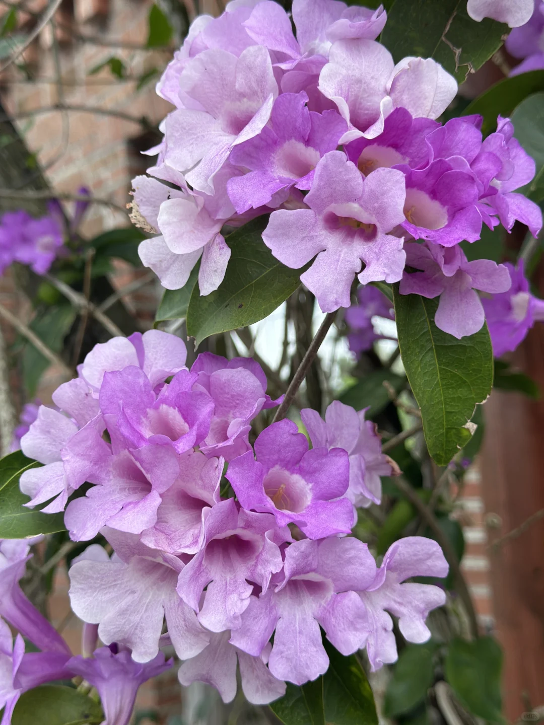 当你不再偷偷羡慕别人