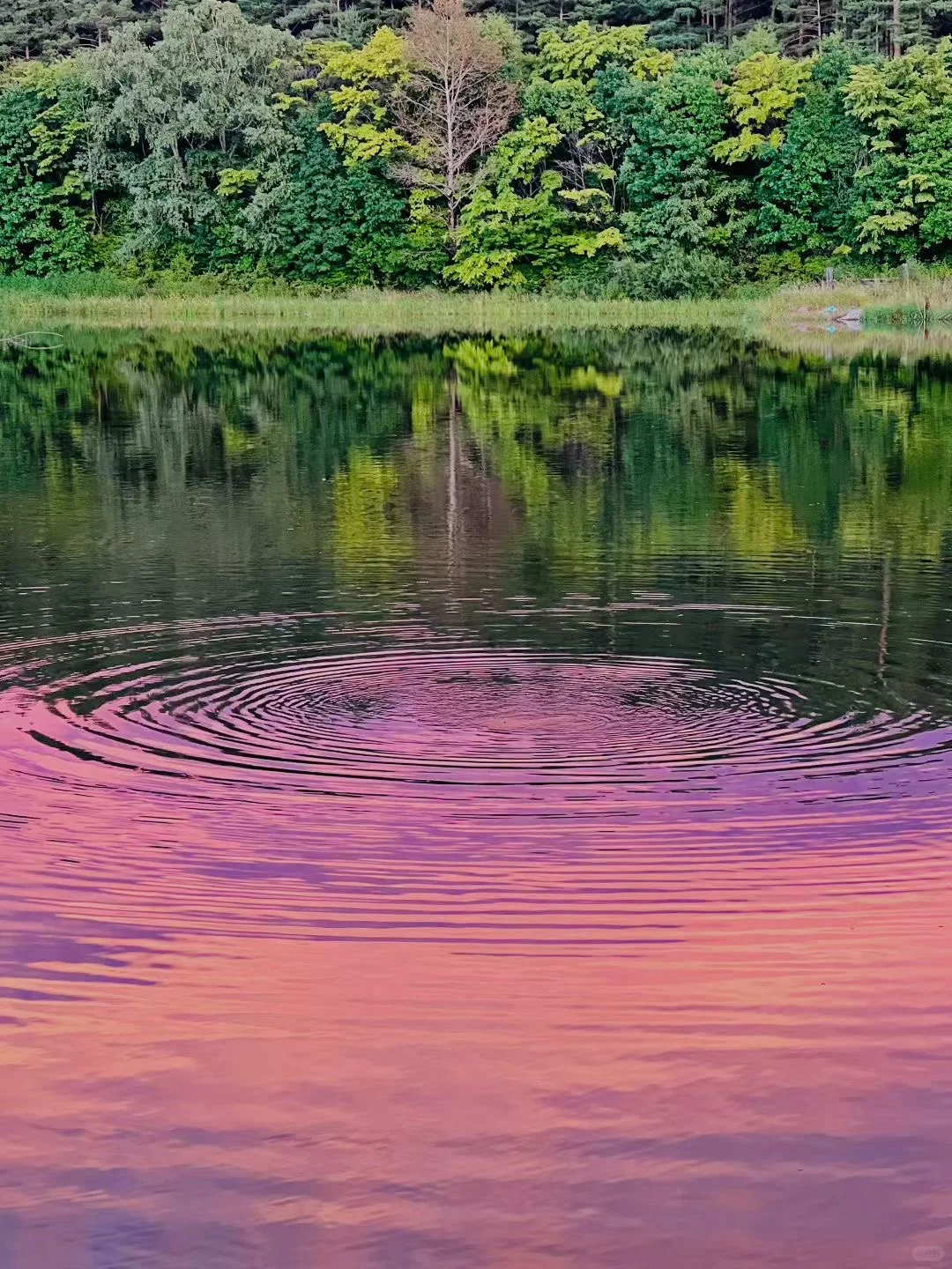 当你的“分享欲”开始消失