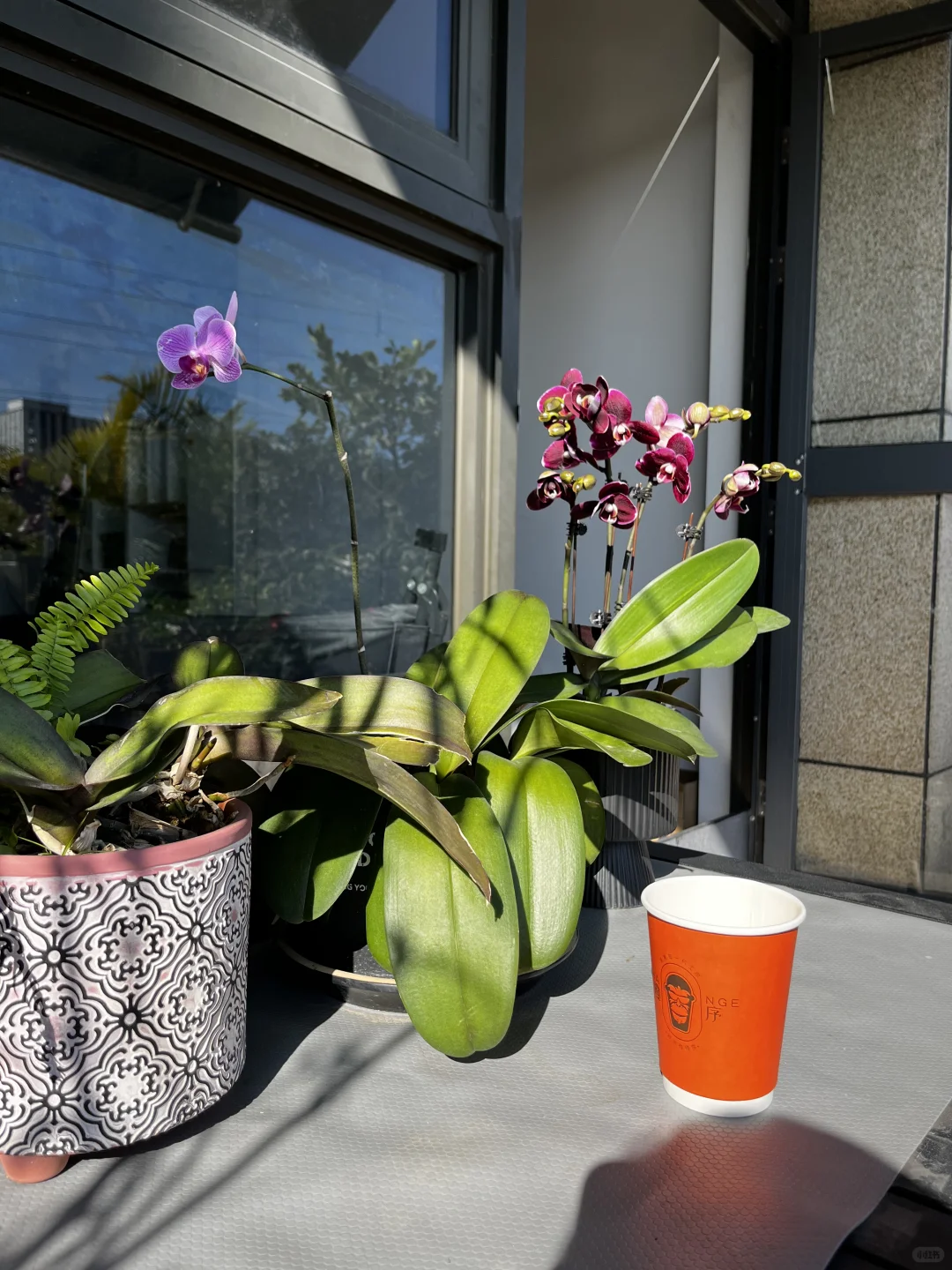 谁懂啊，35岁宝妈下楼就可以上班的快乐！