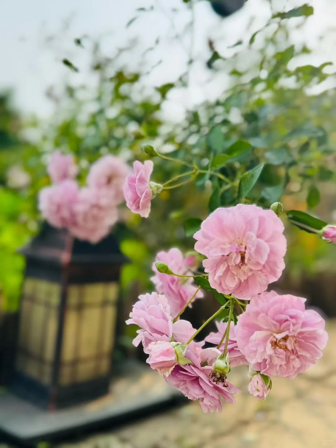 当你开始享受“边界感”