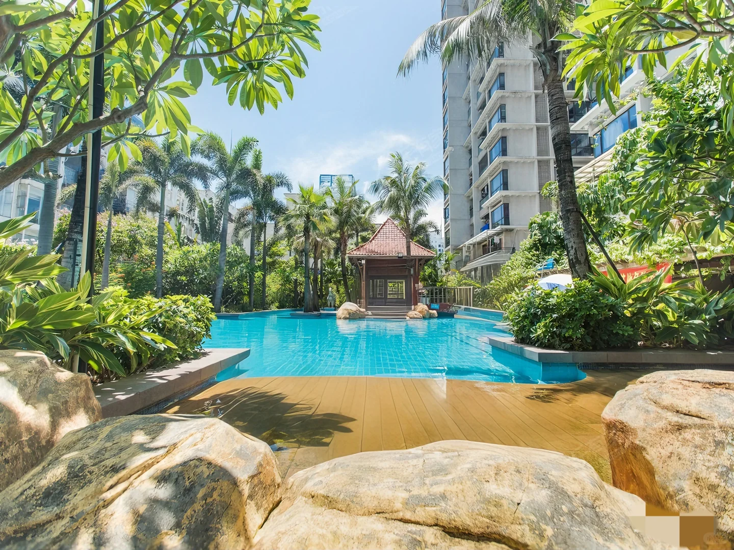 福田刚需！高层南向四房55X万