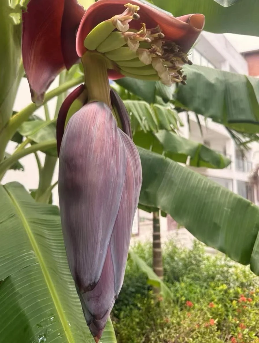 当你的“分享欲”开始消失