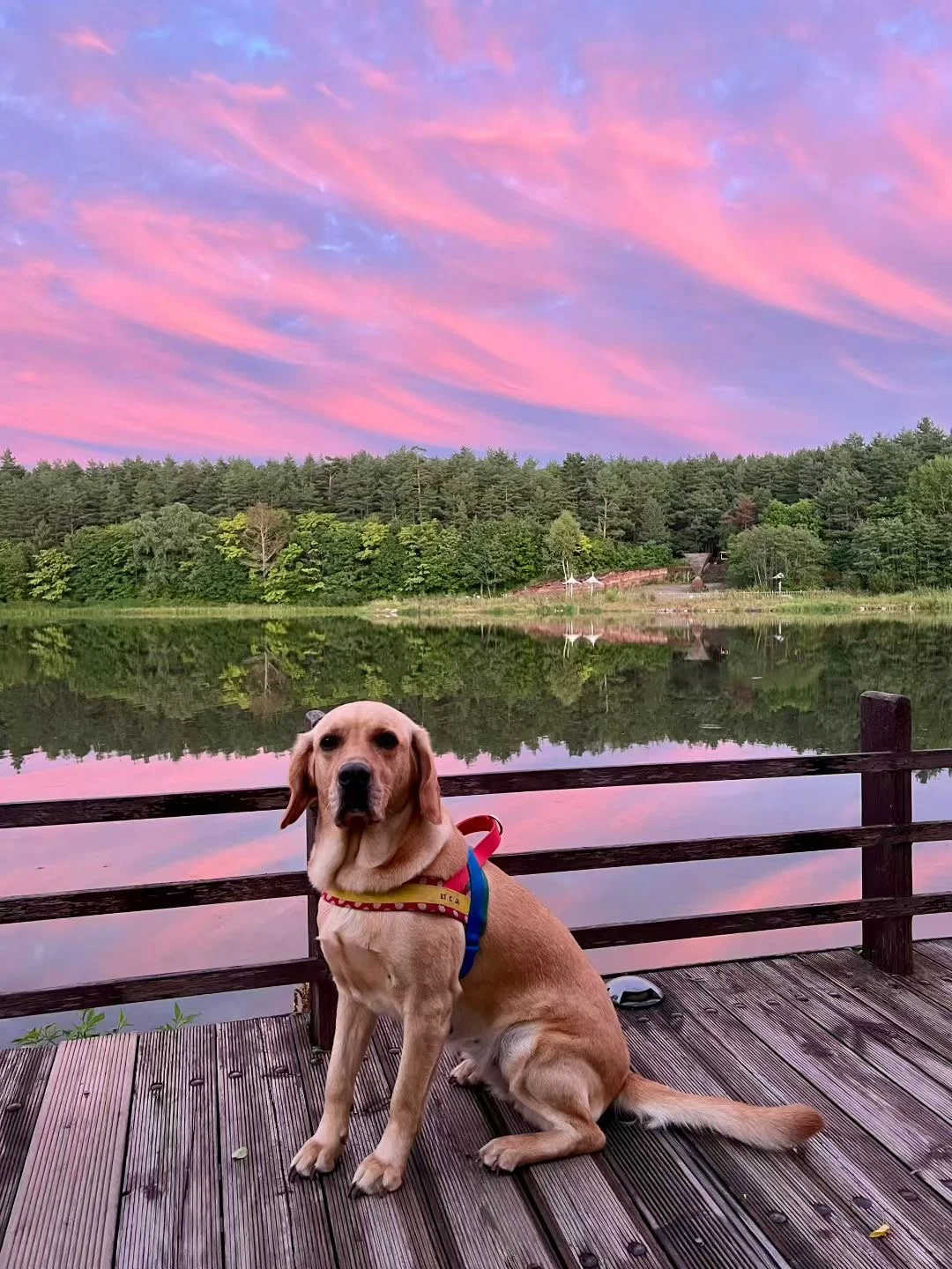 当你的“分享欲”开始消失