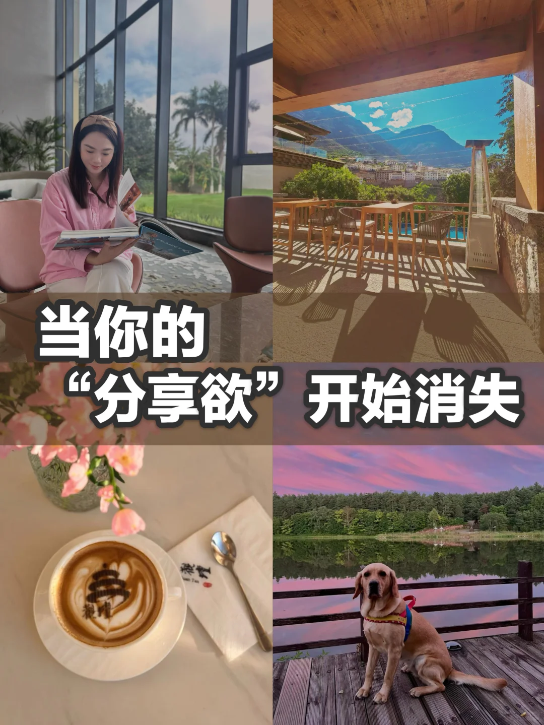 当你的“分享欲”开始消失