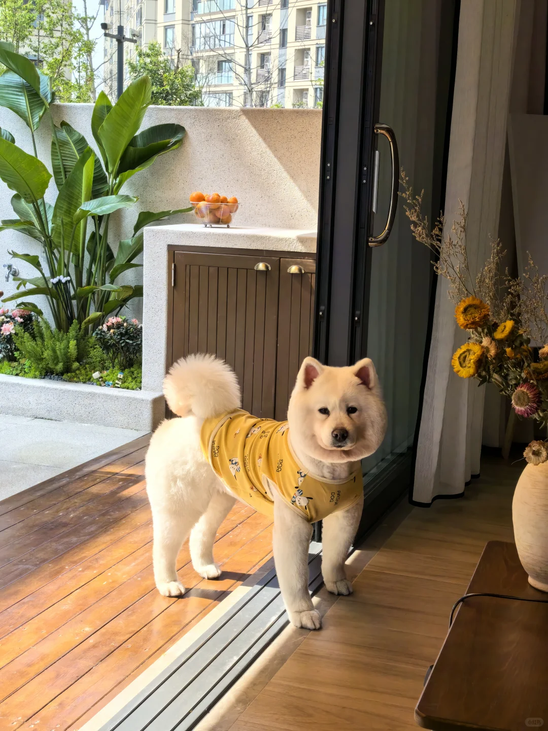 这就是放弃大平层选别墅的原因！