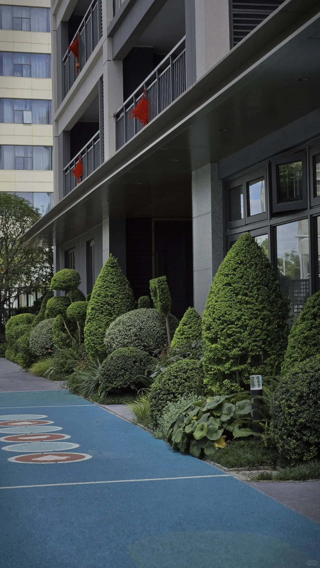 玩一次低成本低维护花境