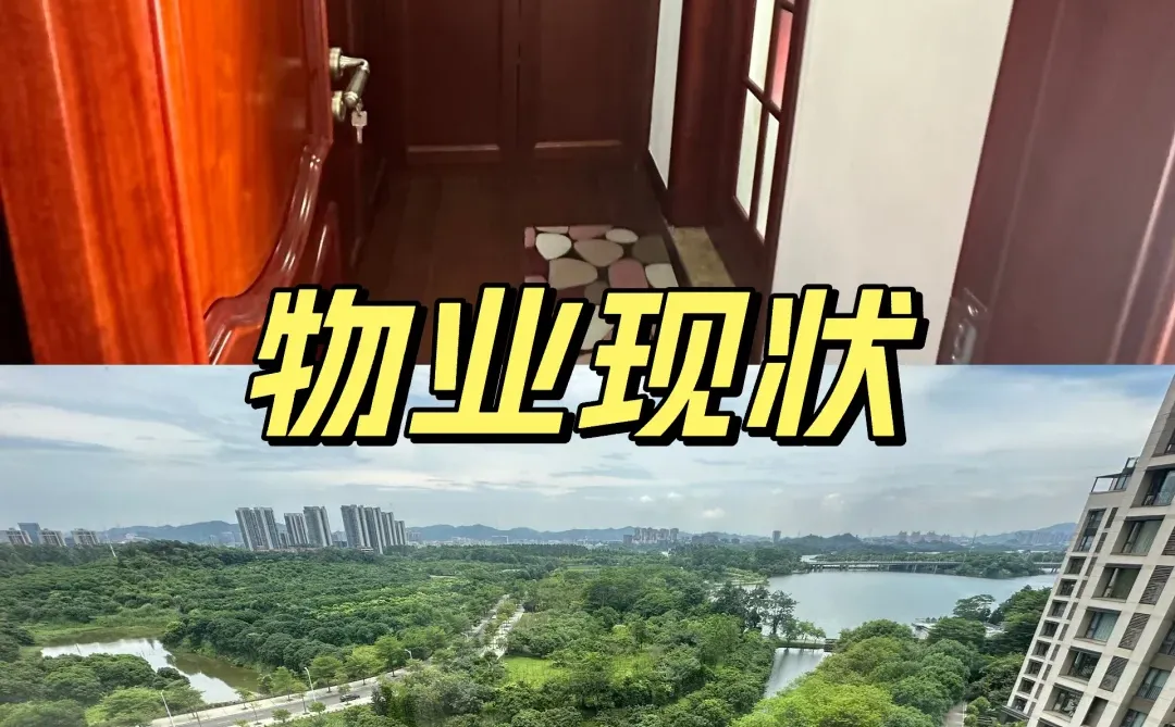 工作日常｜海外移民评估内地房产