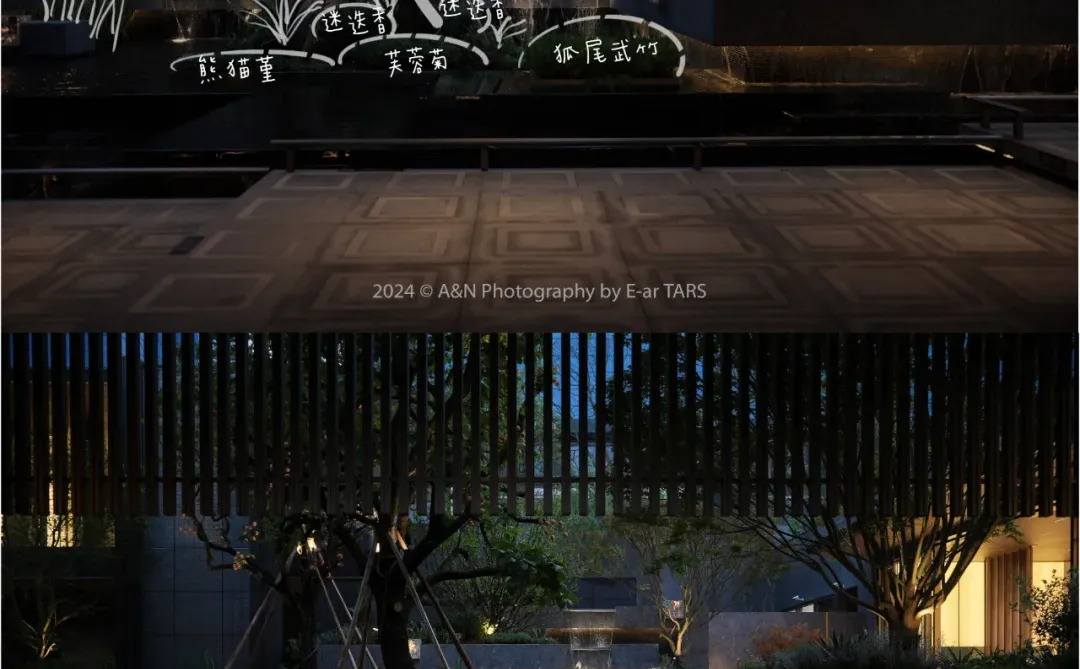 重庆璞玉 | 如何利用植物设计营造空间氛围