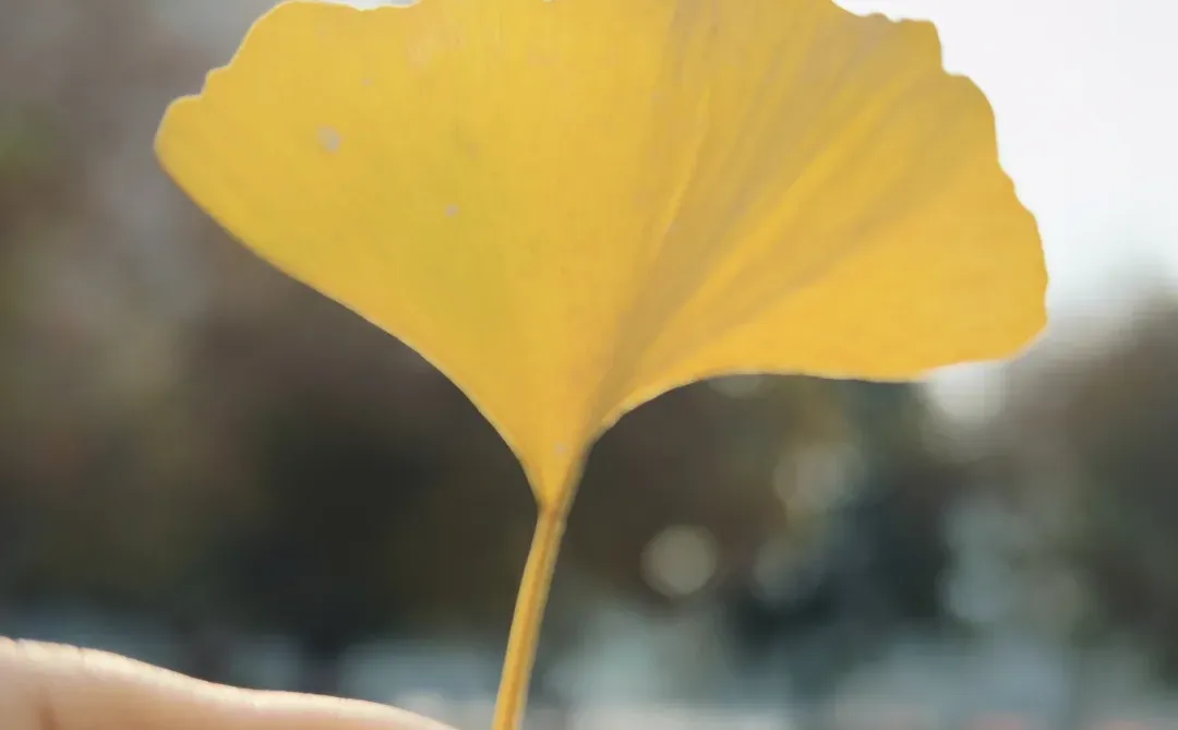 从央企毕业后第二年的生活变化