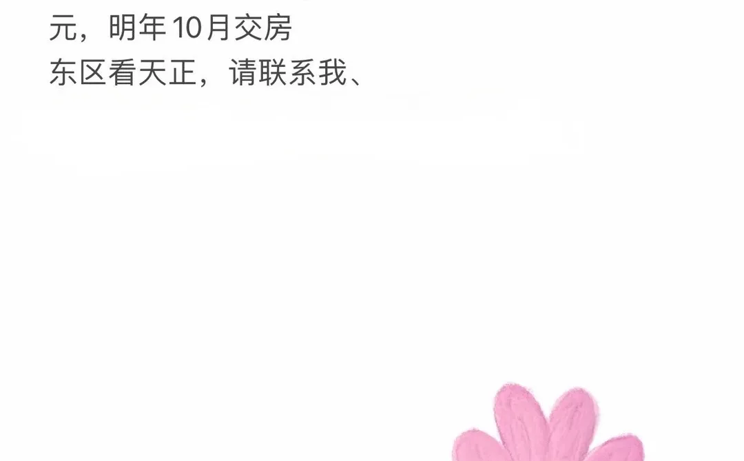 东区天正四个项目