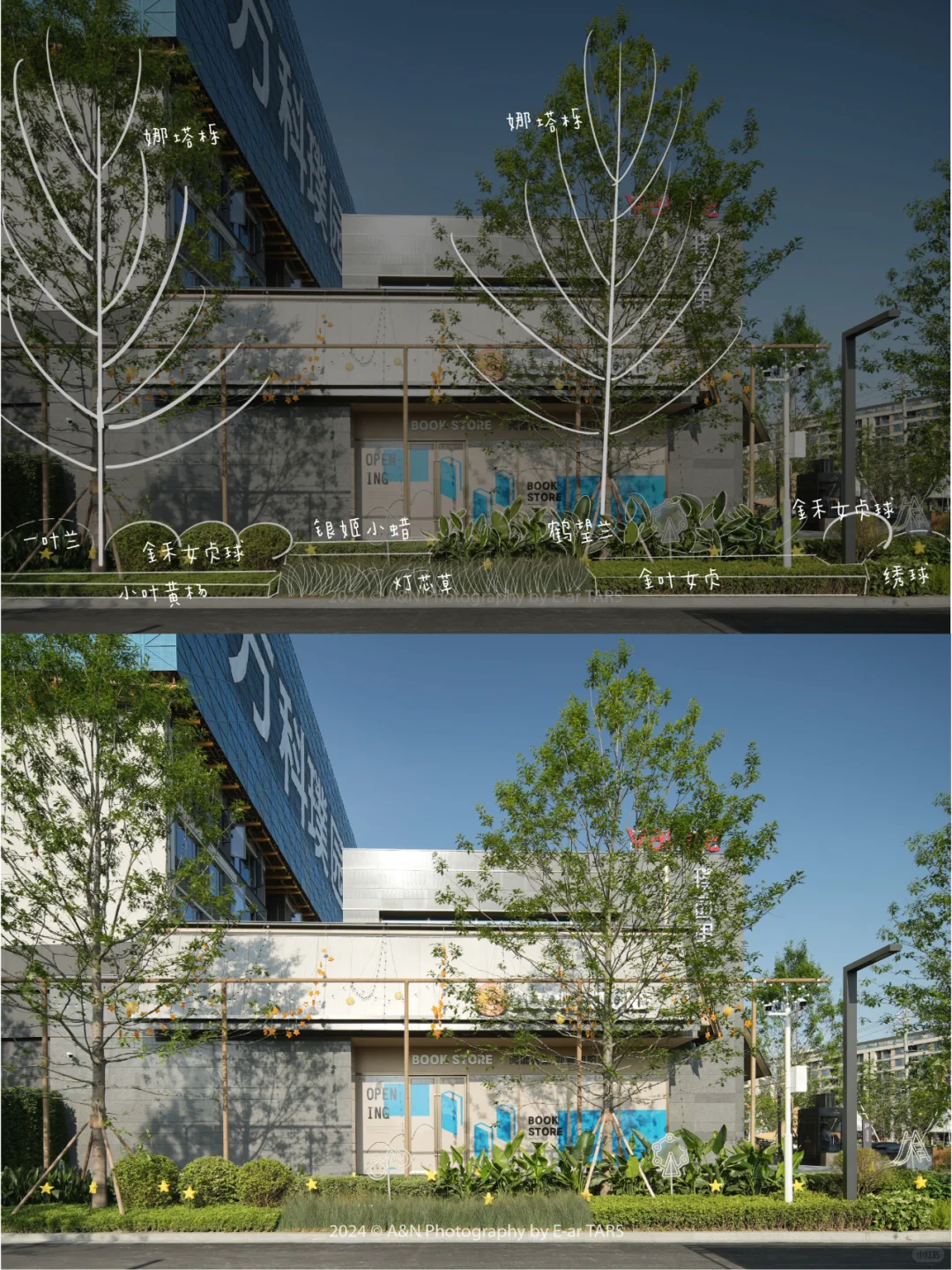 重庆璞玉 | 如何利用植物设计营造空间氛围