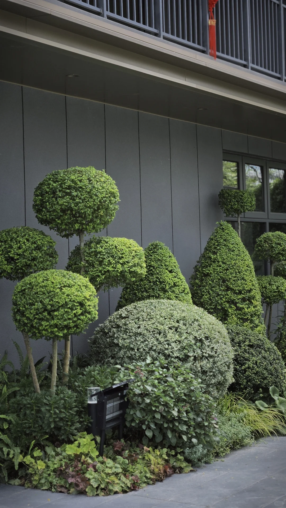 玩一次低成本低维护花境