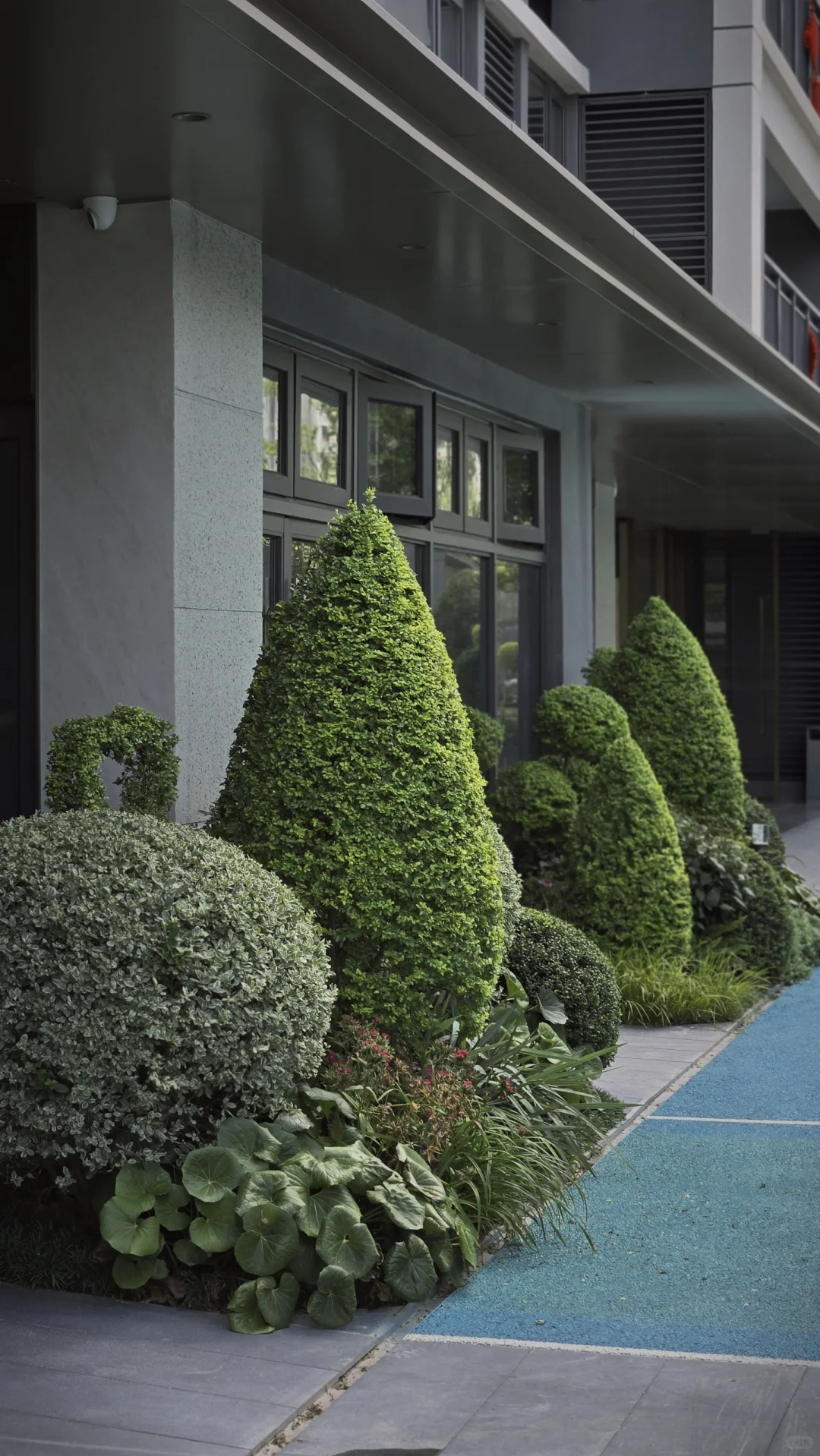 玩一次低成本低维护花境