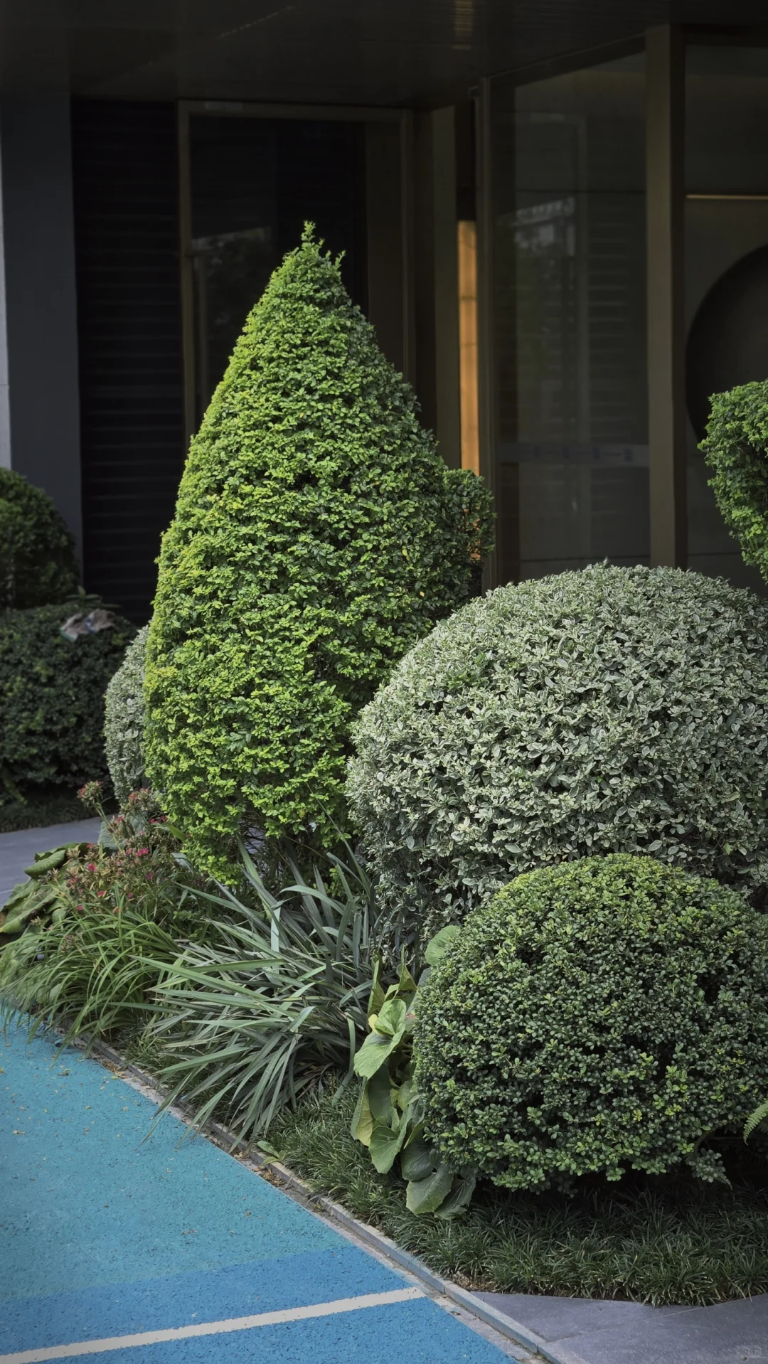 玩一次低成本低维护花境