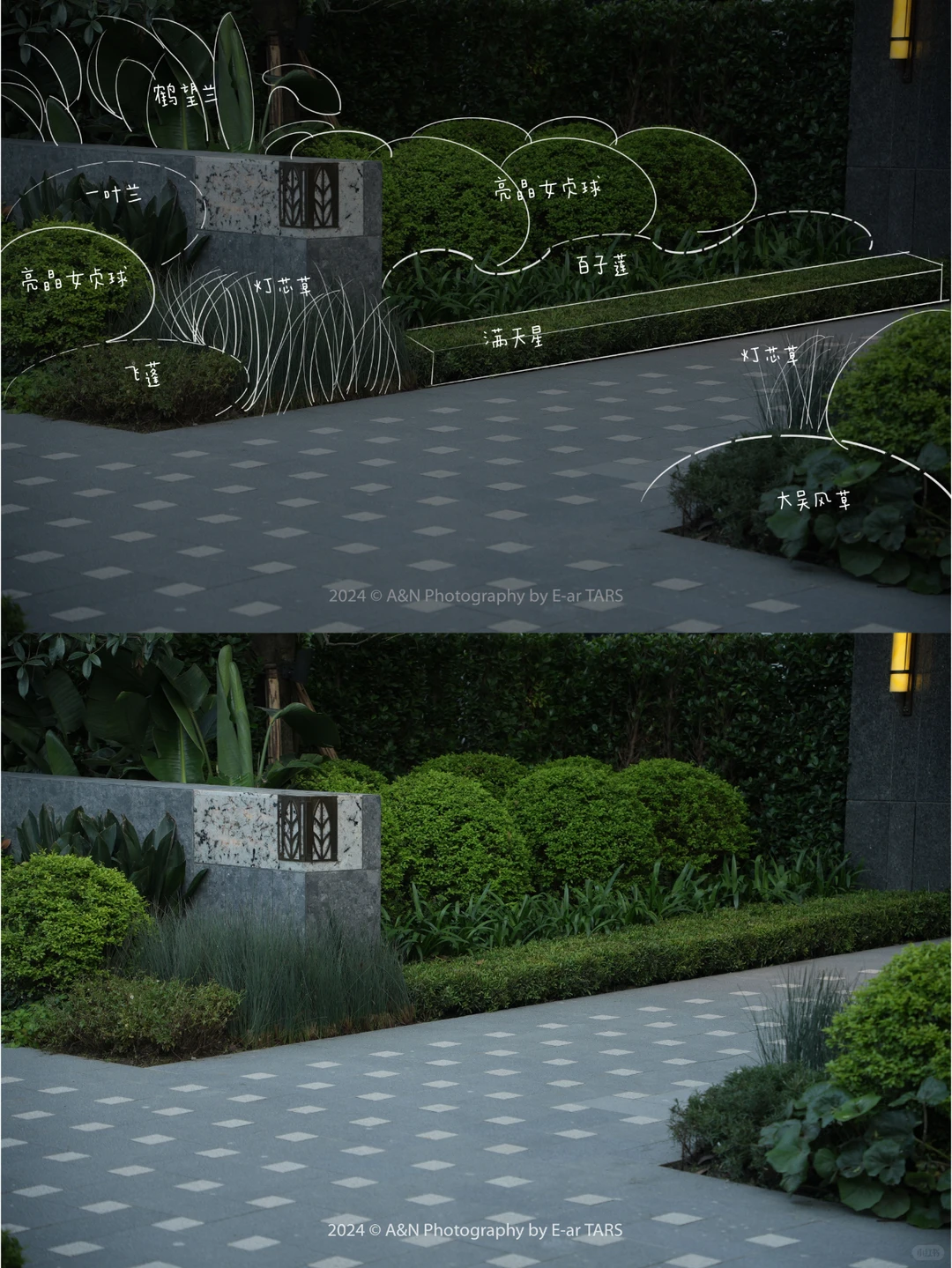 重庆璞玉 | 如何利用植物设计营造空间氛围