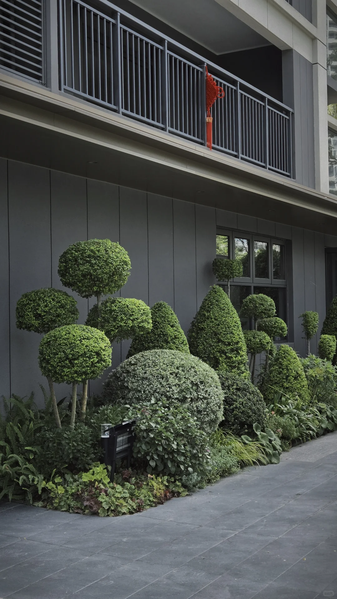 玩一次低成本低维护花境