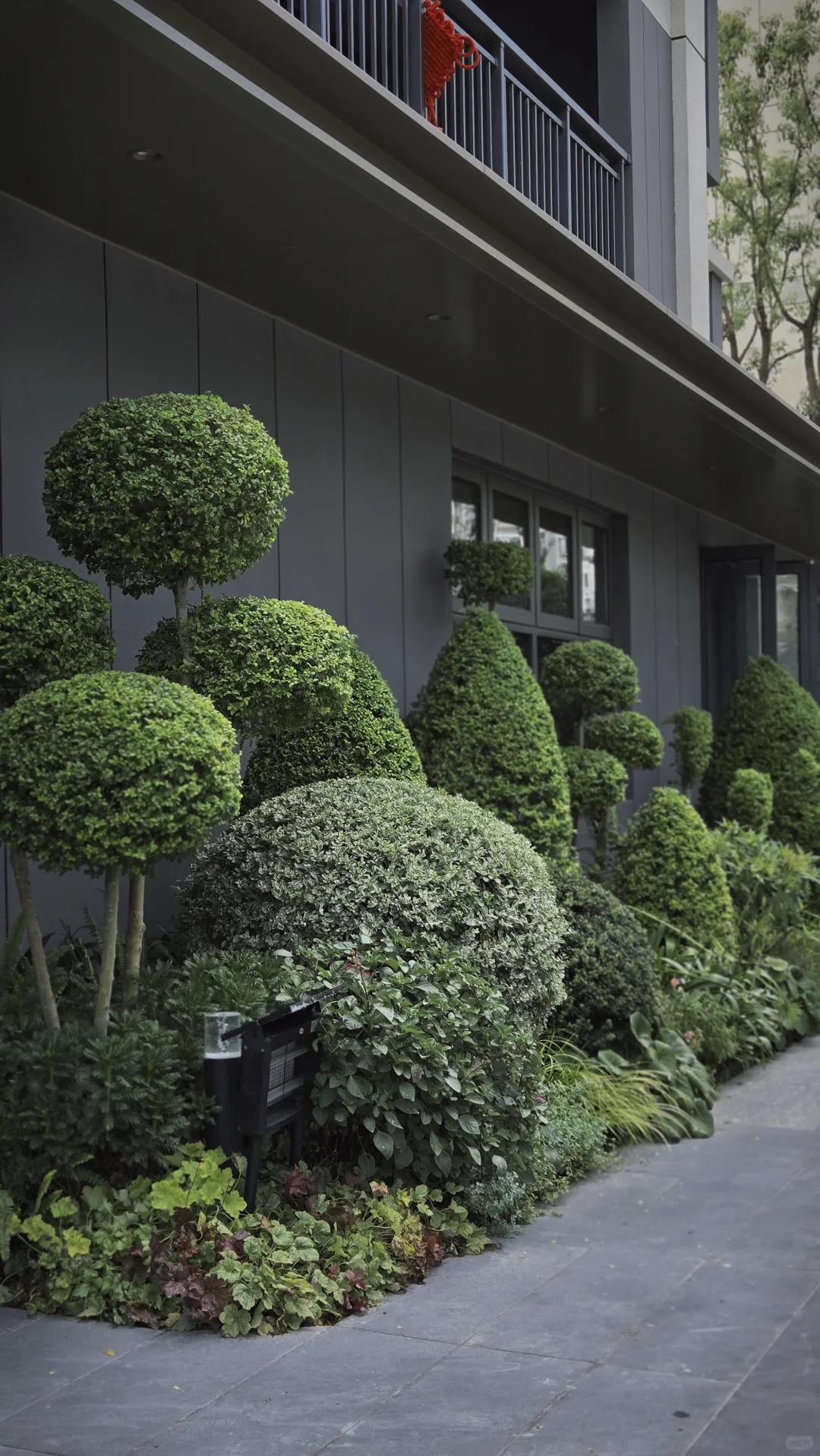 玩一次低成本低维护花境