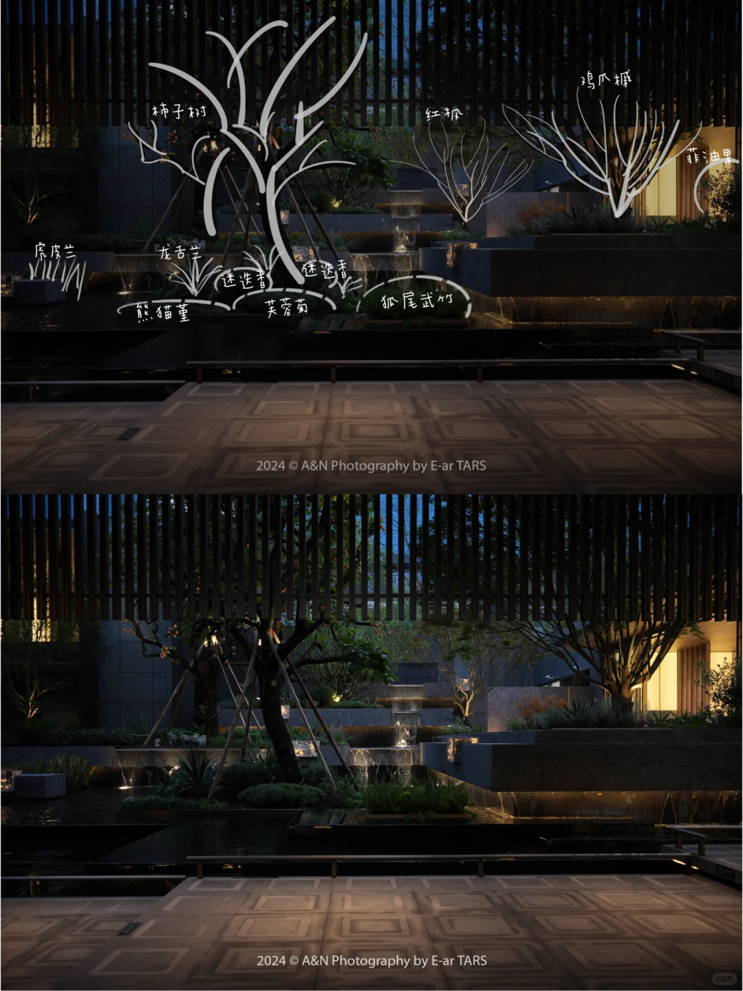 重庆璞玉 | 如何利用植物设计营造空间氛围