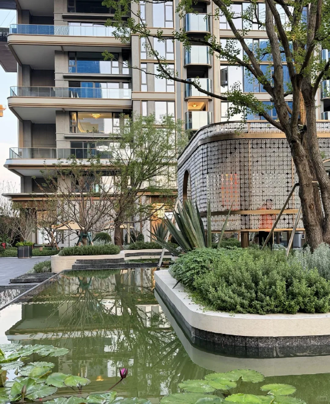 感谢成都房价🙏120平去年158，今年88万