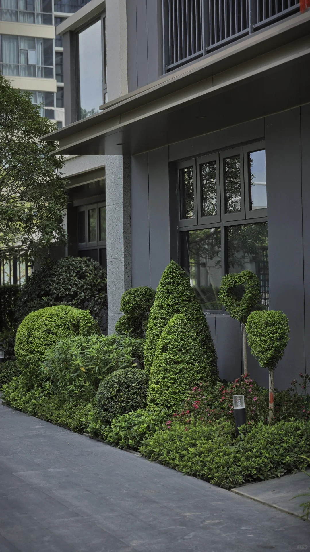 玩一次低成本低维护花境