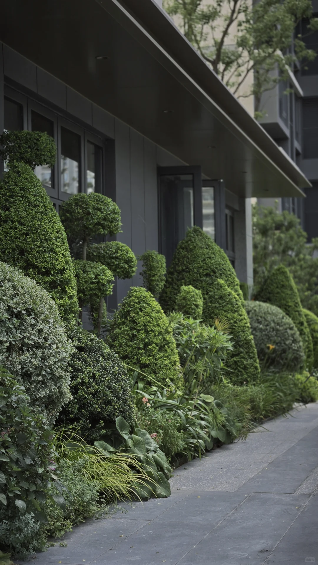 玩一次低成本低维护花境
