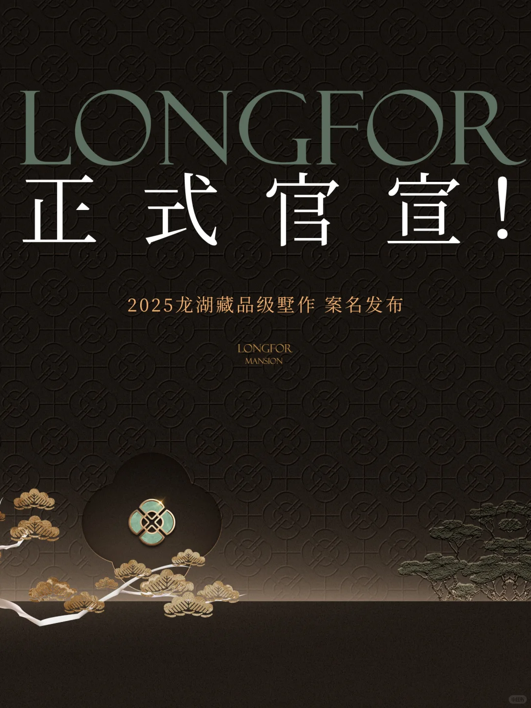 正式官宣！案名发布