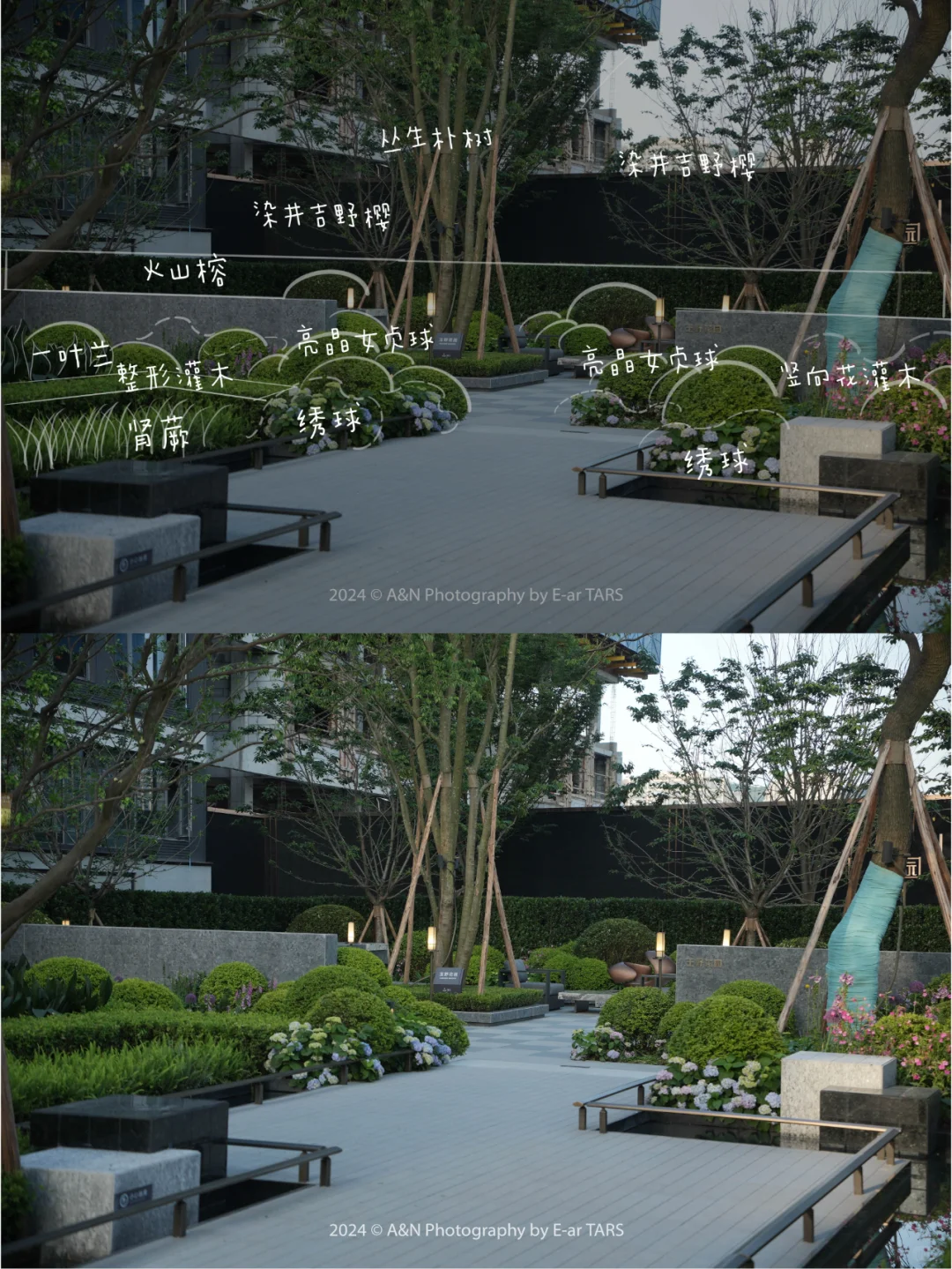 重庆璞玉 | 如何利用植物设计营造空间氛围