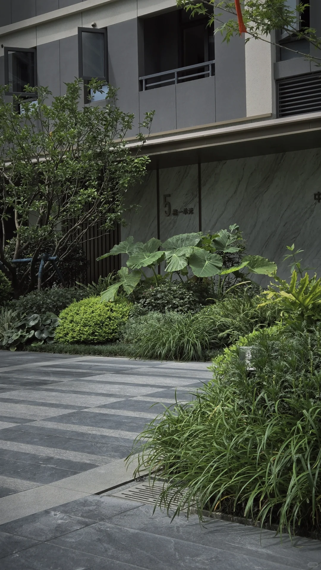 玩一次低成本低维护花境