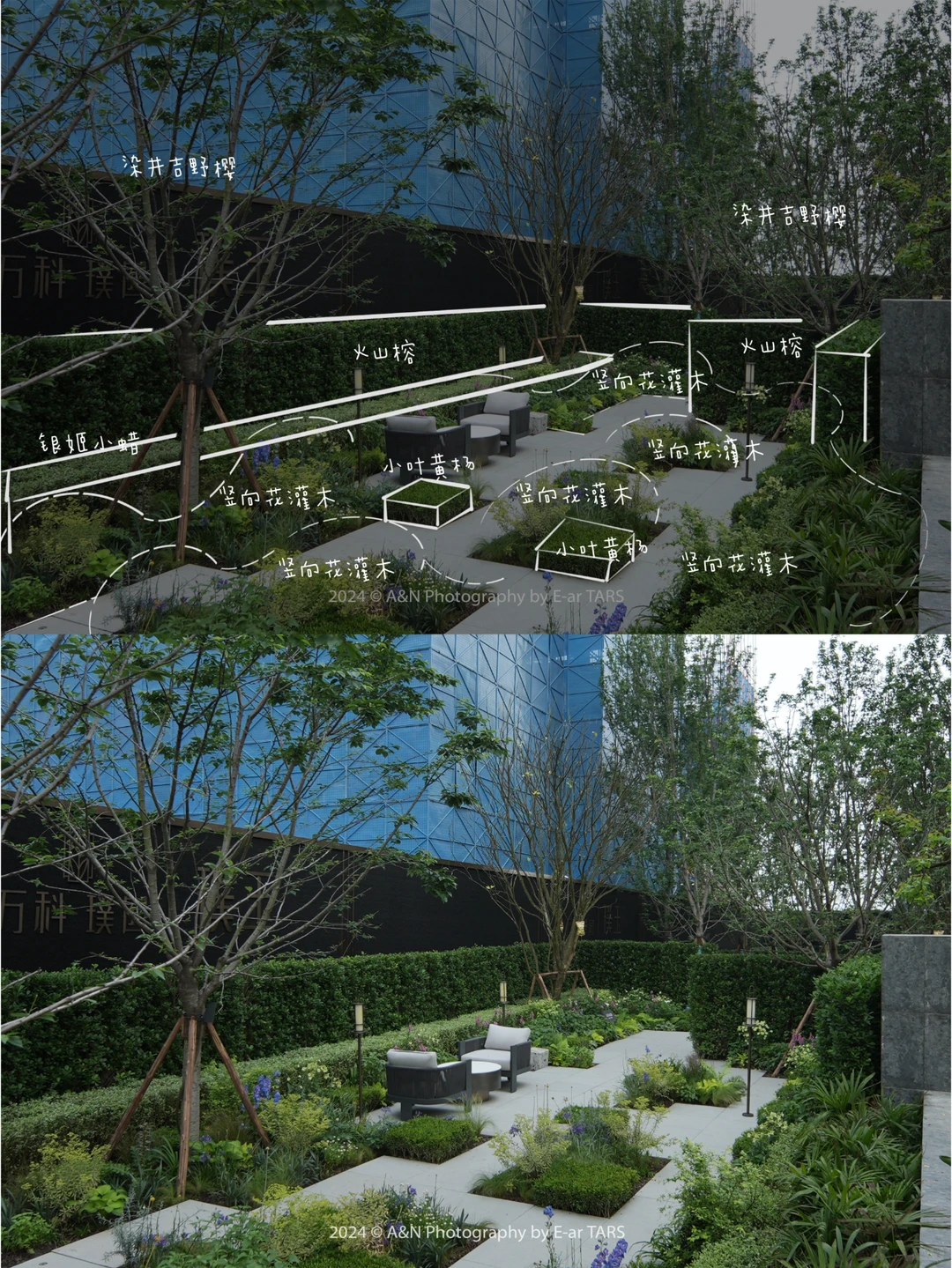 重庆璞玉 | 如何利用植物设计营造空间氛围