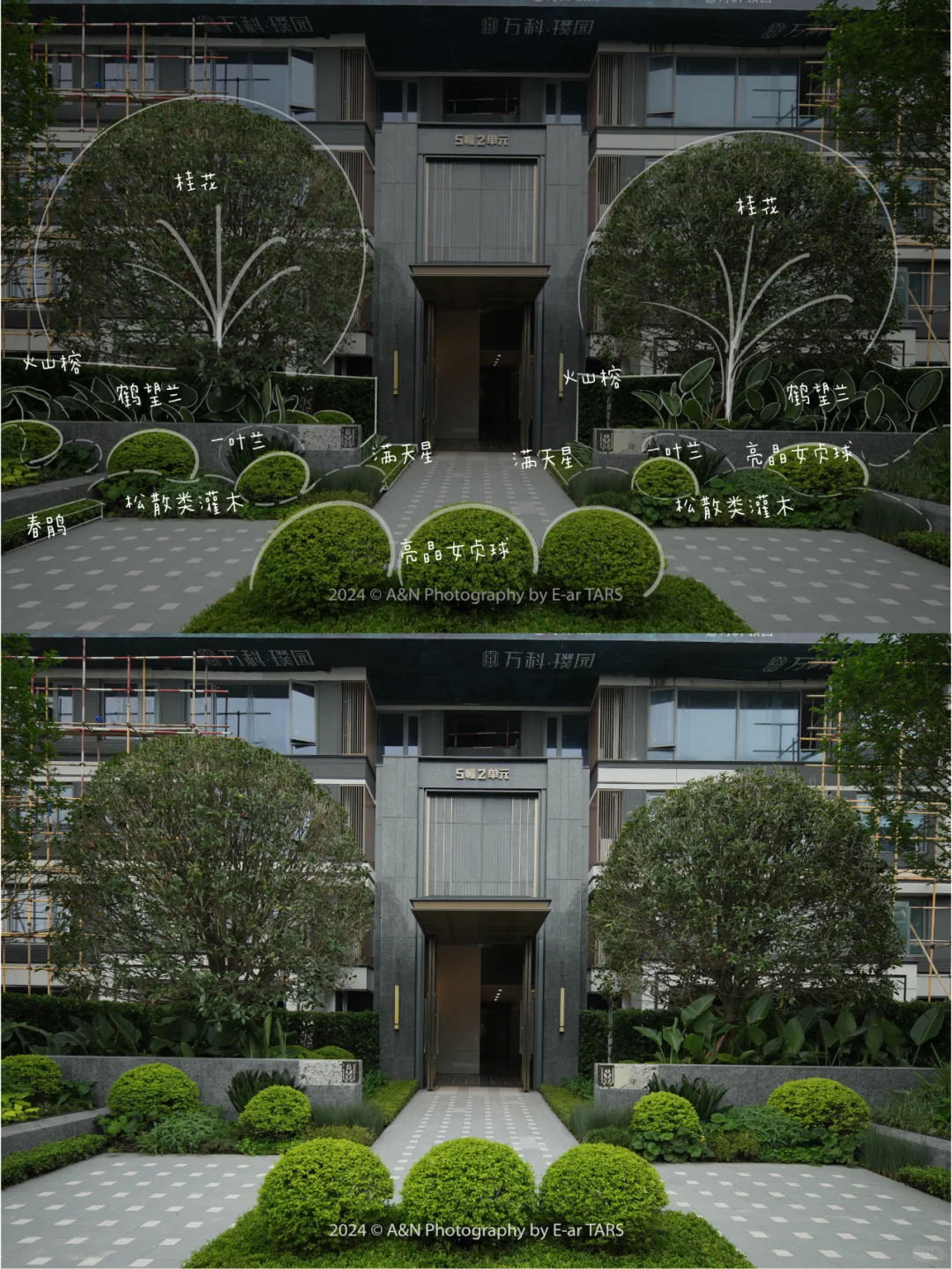 重庆璞玉 | 如何利用植物设计营造空间氛围