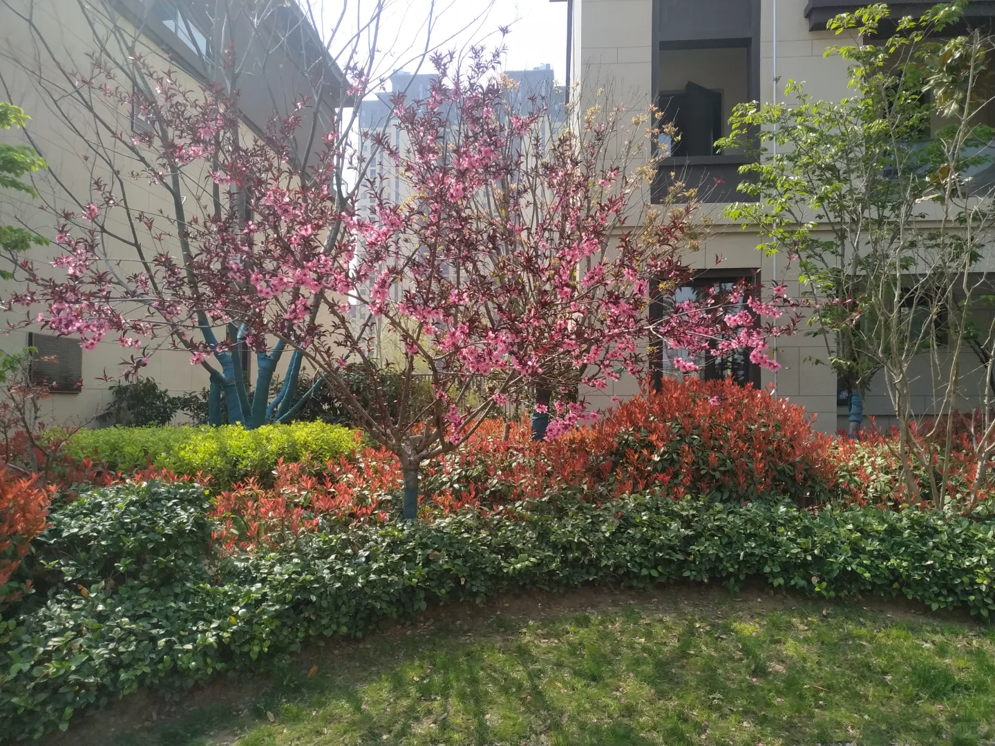 济宁邹城市二手房出售祥生东方樾花园