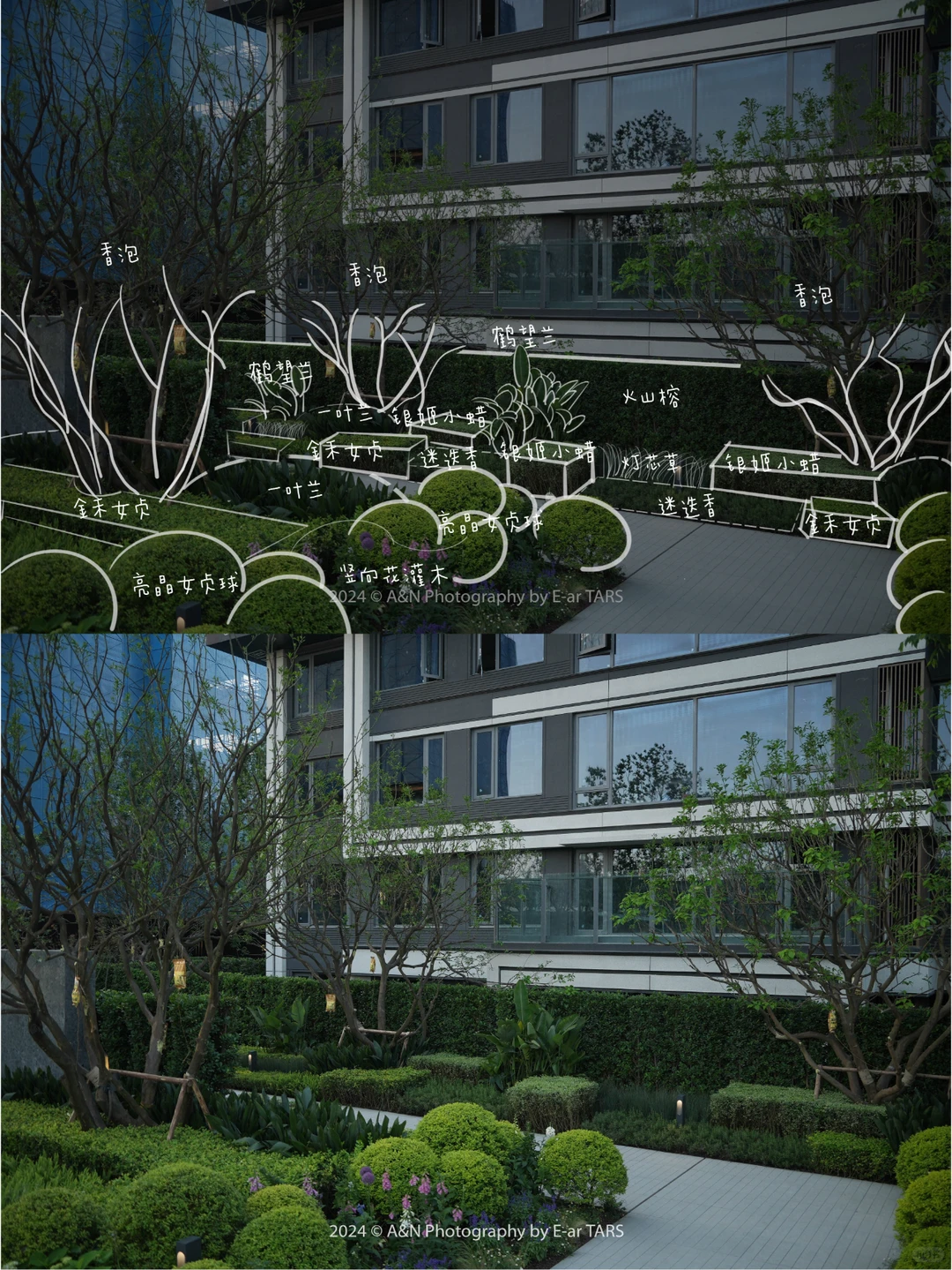 重庆璞玉 | 如何利用植物设计营造空间氛围