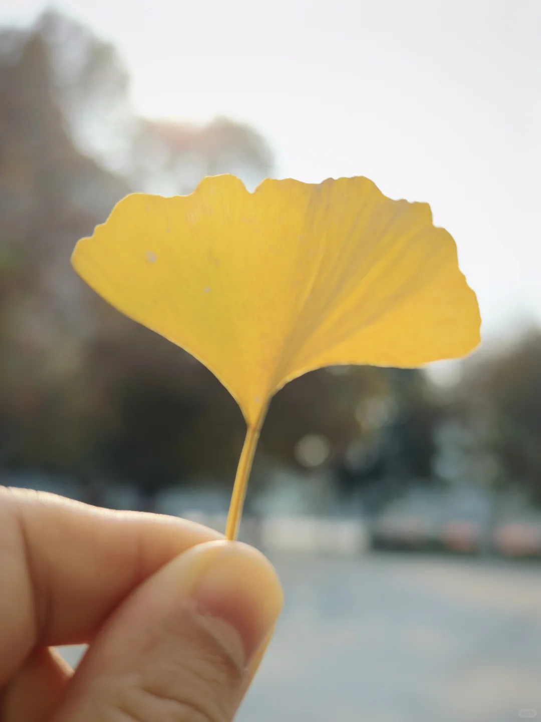 从央企毕业后第二年的生活变化