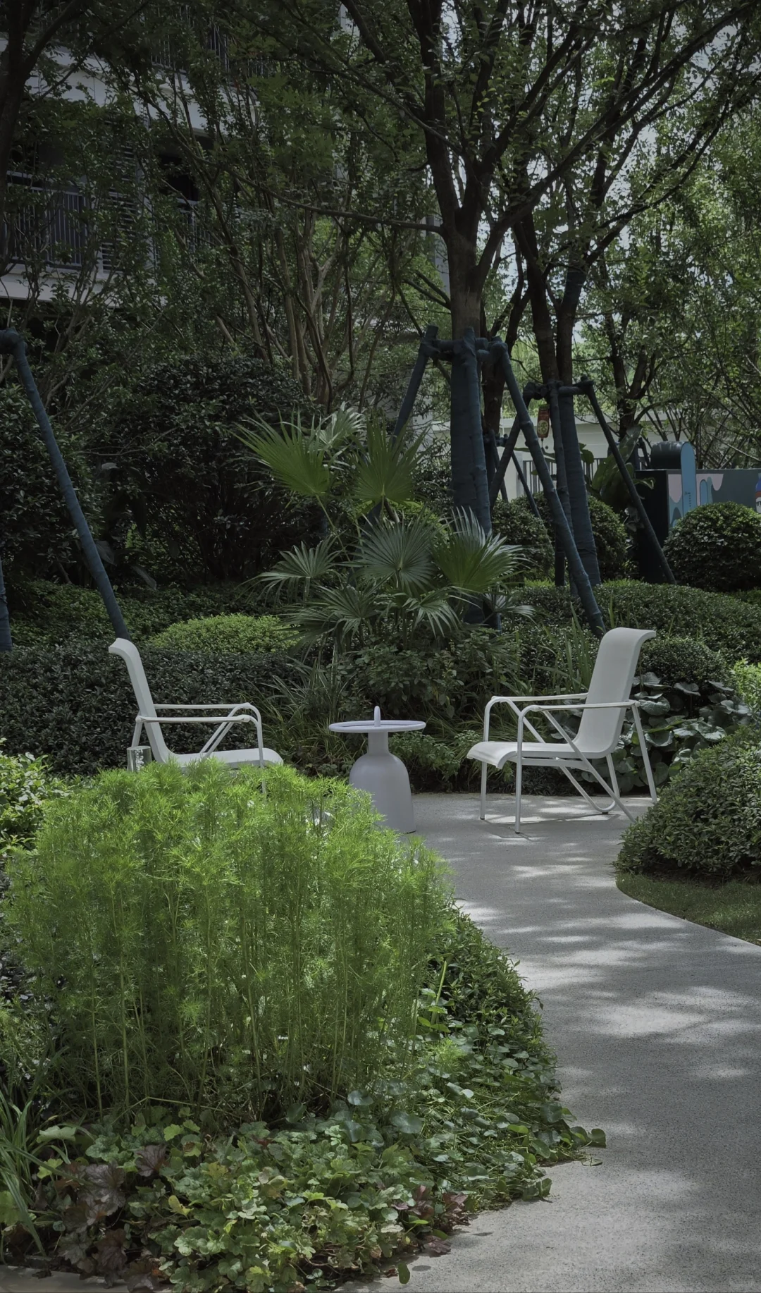 玩一次低成本低维护花境