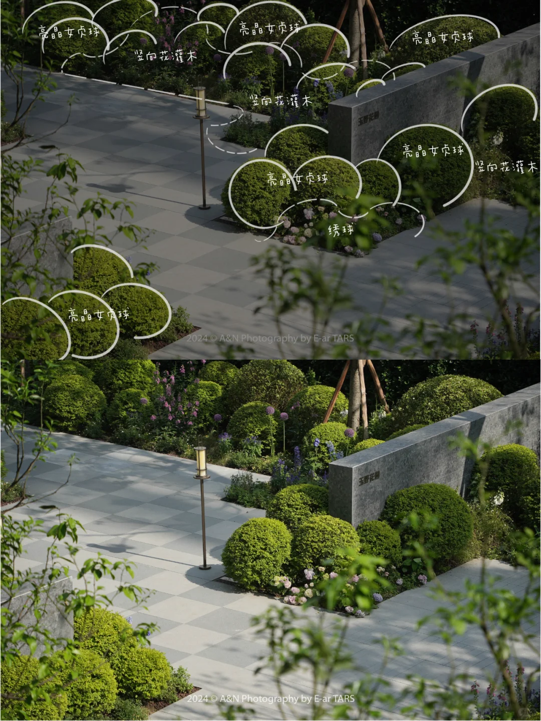 重庆璞玉 | 如何利用植物设计营造空间氛围