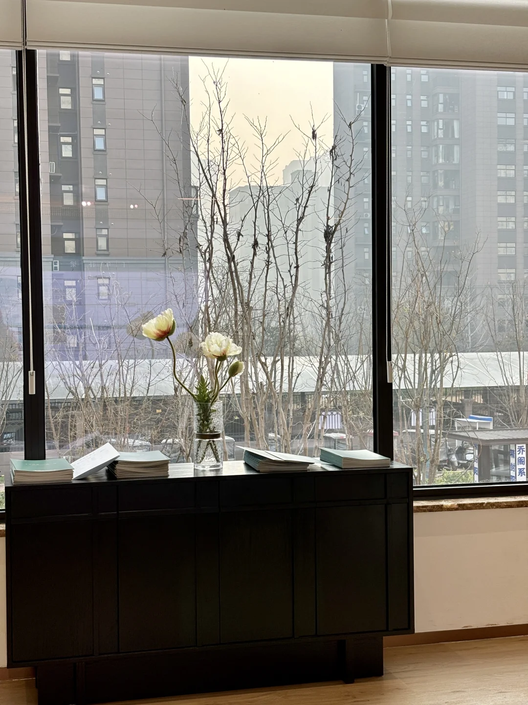 开封观湖四房！！好心动！！