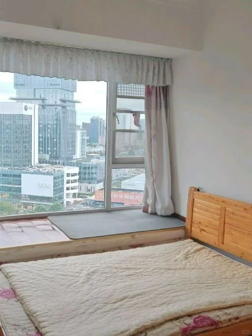 成华区 龙潭寺 新退套三