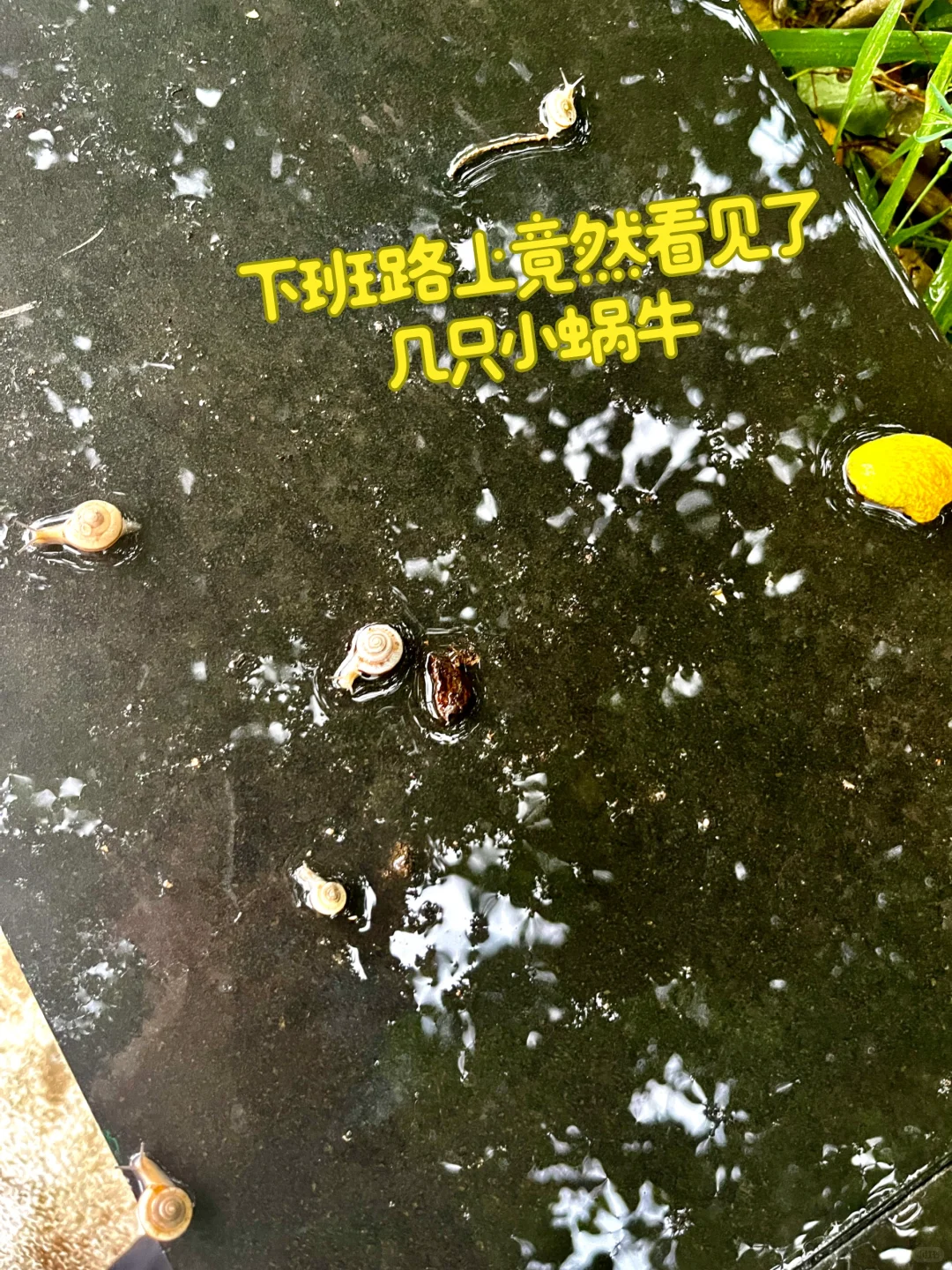 函授站教务老师的日常！