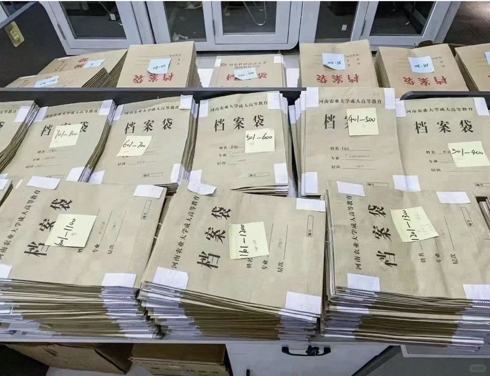 给学生整理档案啦🎺🎺🎺