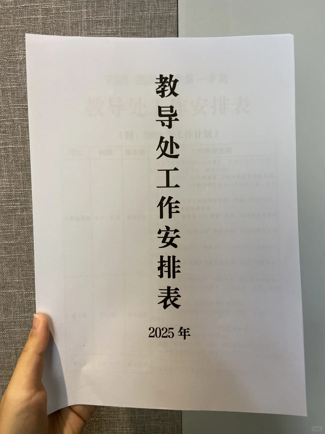 呼声超高的教导处工作安排表来啦