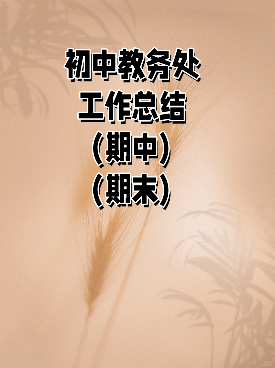 教务处工作总结