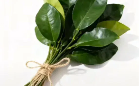 12月10号开放打印！