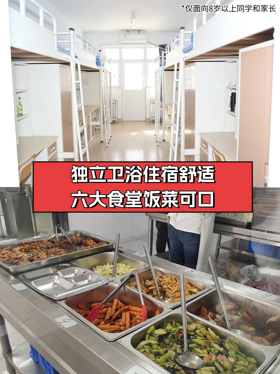 天津艺考生，可报家门口本科及分数线汇总！