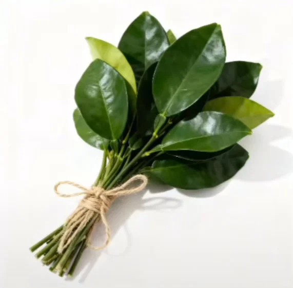 12月10号开放打印！