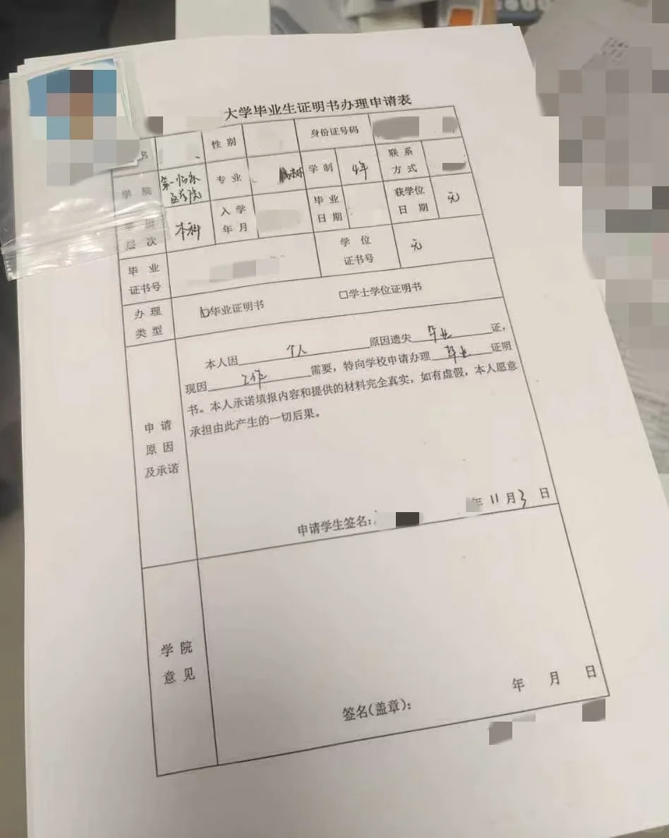 毕业证丢了别焦虑！补办攻略来啦✨