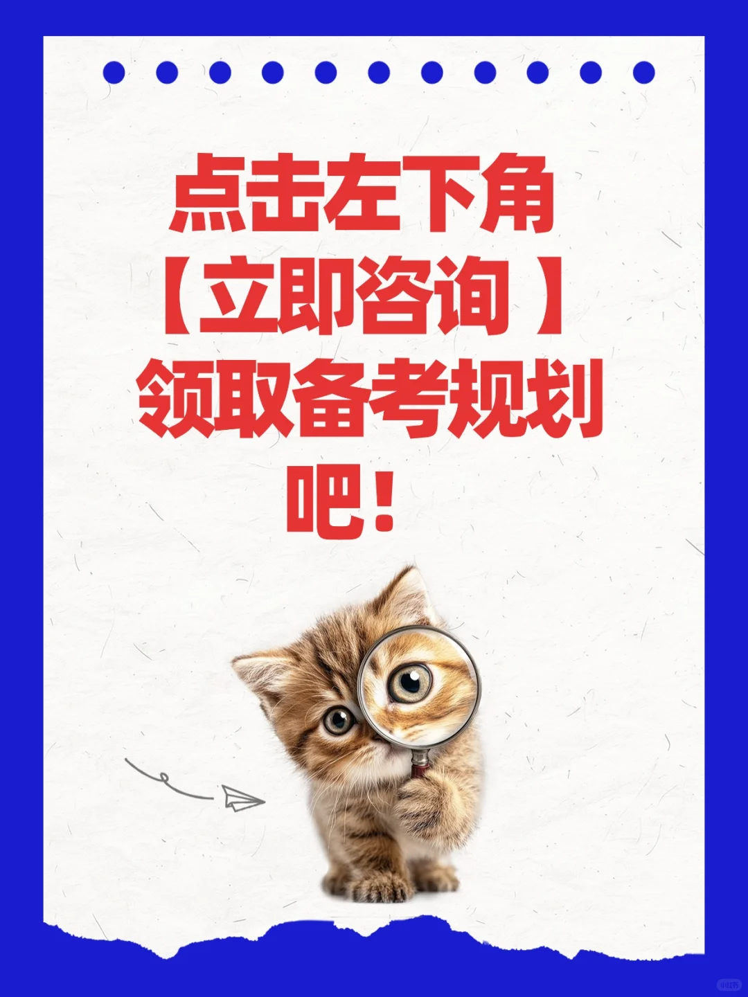 12月才开始准备27MTI？保姆级全年规划来啦